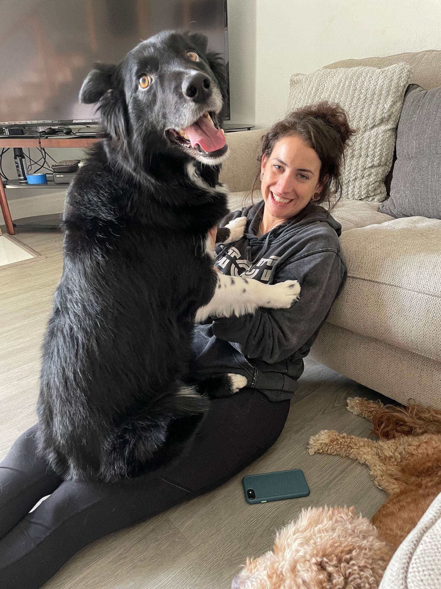 Woman with Herding Dog and Poodle