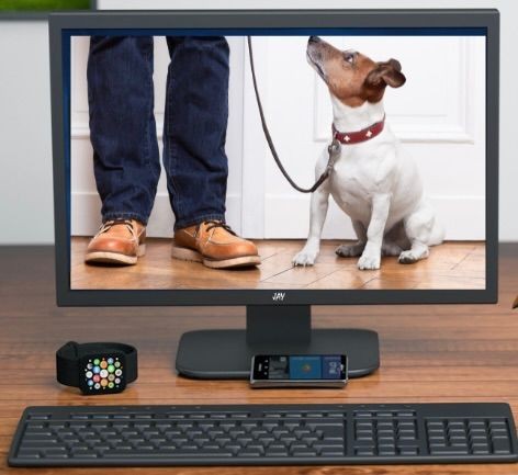 white and brown dog looking up at human on computer screen